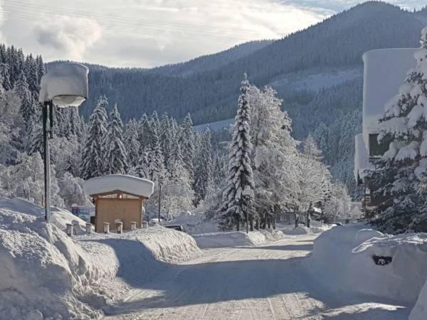 Apartment Holiday Lungoetz Annaberg im Lammertal Exterior foto
